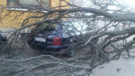 Ураганен вятър с пориви над 120 км/ч нанесе сериозни щети във Враца
