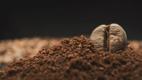 Промените в климата ще направят кафето кът