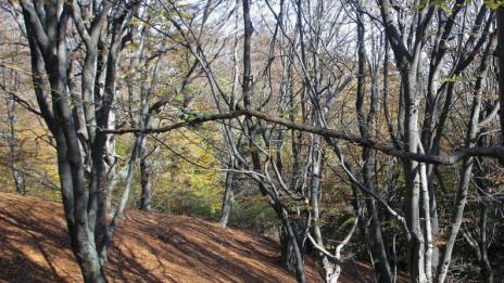 Посрещаме есента в 11 часа и 22 минути