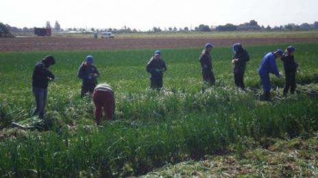 167 българи са станали жертви на трудова експлоатация във Франция