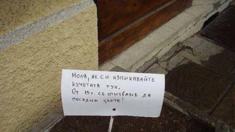 Отново за кучетата и хората