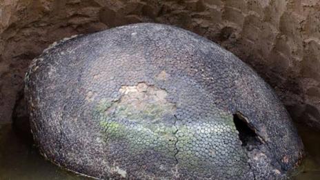 Лук на 1 500 години намериха на шведски остров