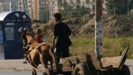 Полицията погва собствениците на каруци