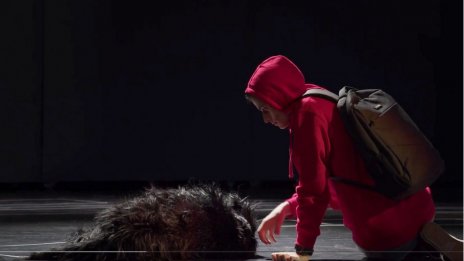 Бездомно куче от Варна се качва на театрална сцена