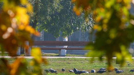 Слънчево, но с умерен вятър от югозапад
