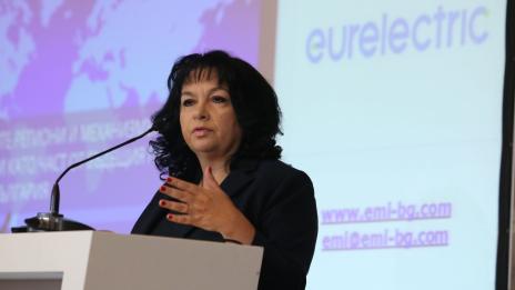 Преговорите за цената на природния газ се водят от правителството