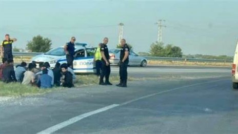 Заловиха 16 нелегални мигранти в борова гора