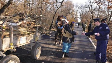 Съставиха във Варненско 10 акта за незаконна дървесина