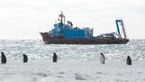 Жената на екс.-капитана на полярния ни кораб показва отново фотоси от пътуването до Антарктида