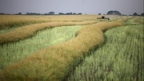 Земеделската земя в България поскъпна с 4% през 2016 г.