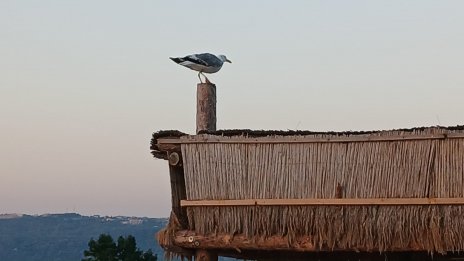 Какво ще бъде времето в понеделник?
