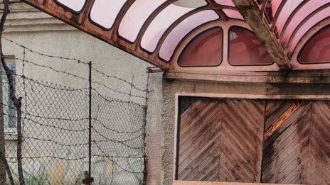 Откриха оранжерия за марихуана в...гараж във Варна