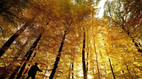 Неделя ни посреща с дъжд, но пък с температури до 10°C