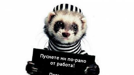 Петък - най-добрият ден от работната седмица! А дали е така?