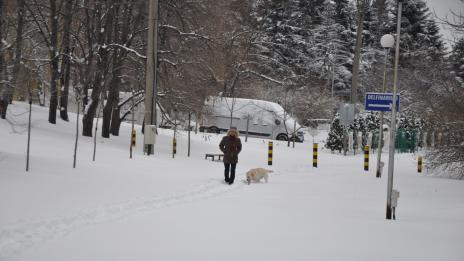 Дъжд и поледици