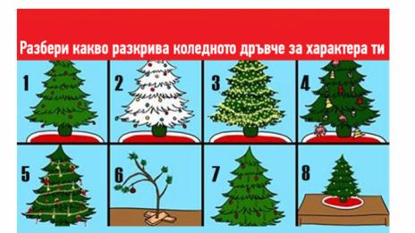 Изберете коледна елхичка и вижте какво ще разкрие тя за вашата личност!