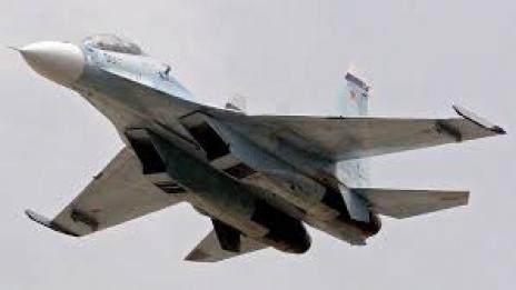  Птица е причинила катастрофата на Су-30 СМ