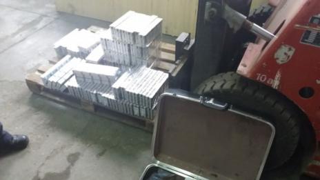 Митничарско куче откри над 4000 кутии цигари на "Дунав мост"