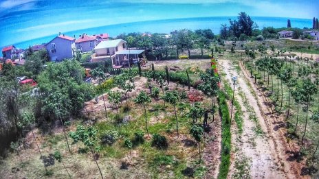 Общината е готова да подкрепи доизграждането и поддръжката на Парк Борисова градина - Галата