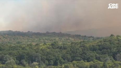 300 декара гора пламнаха в Новозагорско