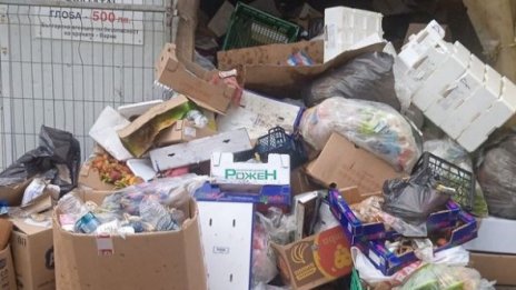 Камари боклук и ужасна миризма тормозят живущите край Рибната борса във Варна