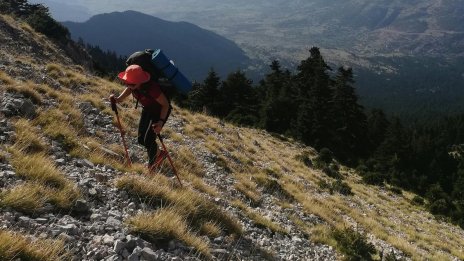 Виц на деня - 9 декември