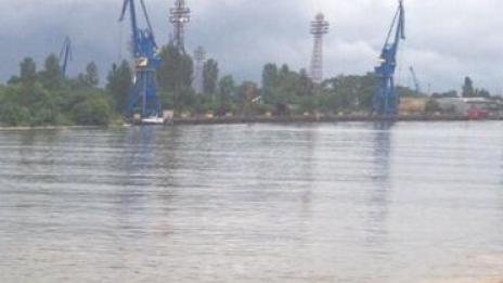 Вълната се появила заради сечта в гората?!