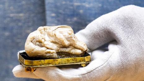 Японски търговец се сдоби перла гигант с необикновена история 