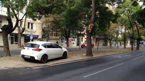 Наглост: Шофьор паркира в тревната площ между платната на бул. „Цар Освободител“