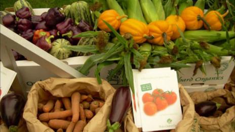 Вносът на биопродукти ще се сертифицира само по електронен път