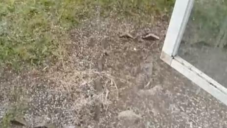 Градушки паднаха на много места у нас