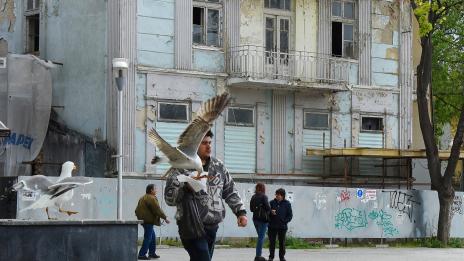 Гладни гларуси крадат закуските на варненци в центъра (СНИМКИ)