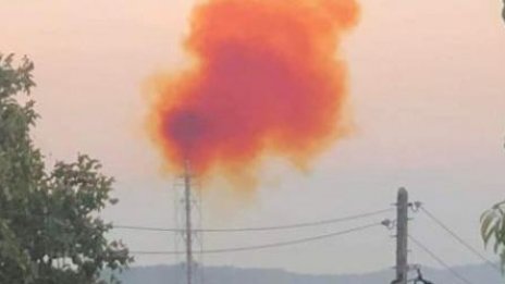 РИОСВ - Варна: "Лисичата опашка" в Девня не е обгазила опасно района