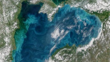 МОСВ: Няма замърсяване в българската акватория на Черно море