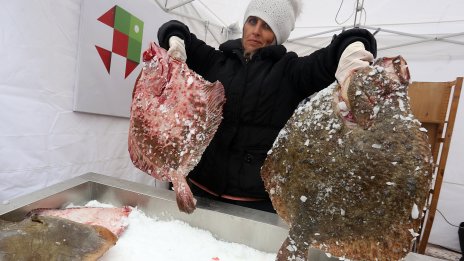 България поддържа засилена комуникация с Румъния по въпросите за улова на калкан в Черно море