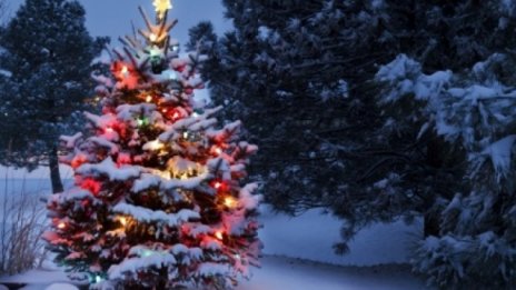Прогноза на времето за 23.12.2018