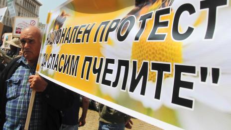Протест на пчеларите пред Министерство на земеделието