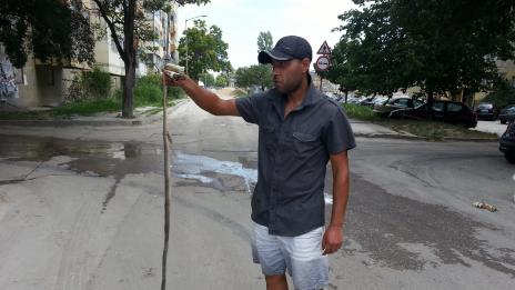 Кола прегази смок до Автогарата във Варна