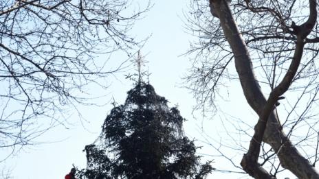 Варненец открадна новогодишна украса от площад „Независимост“