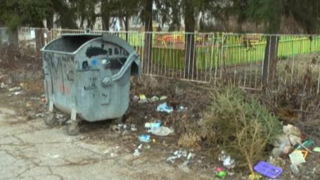 Жестокост: 12 животни убити в Кюстендилско до детска градина