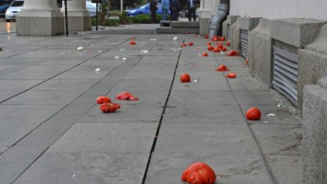 Цачева се ядоса на Босия и доматите му