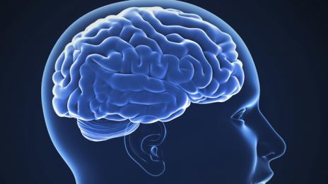 С какво е по-различен мозъкът на болните от шизофрения?