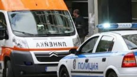 Роми нападнаха с камъни горски заради незаконна сеч