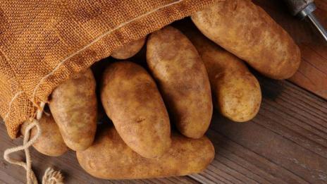 Картофи ще растат и на Луната