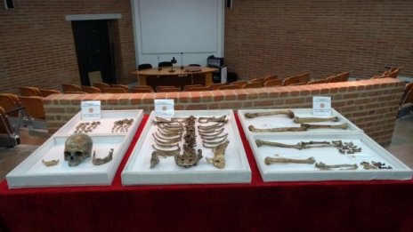 Нови изследвания: Цар Самуил бил висок едва 153 см