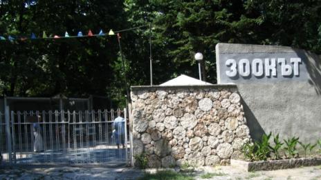 Над 200 елхи дарили на Зоопарка във Варна