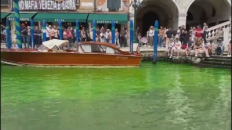 Водата във Венеция се обагри мистериозно в зелено