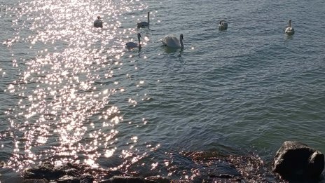 Слънчево време на старта на новата седмица