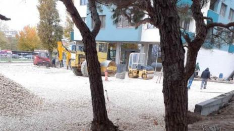 Гражданини спасиха дървета от бетониране във Варна