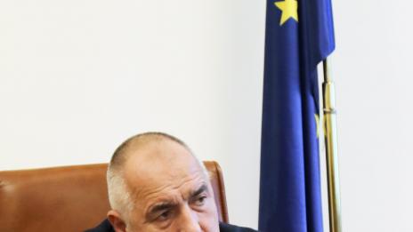 Борисов: Осъждаме прекомерната сила, която се използва срещу Навални, съпругата му и демонстрантите в Русия